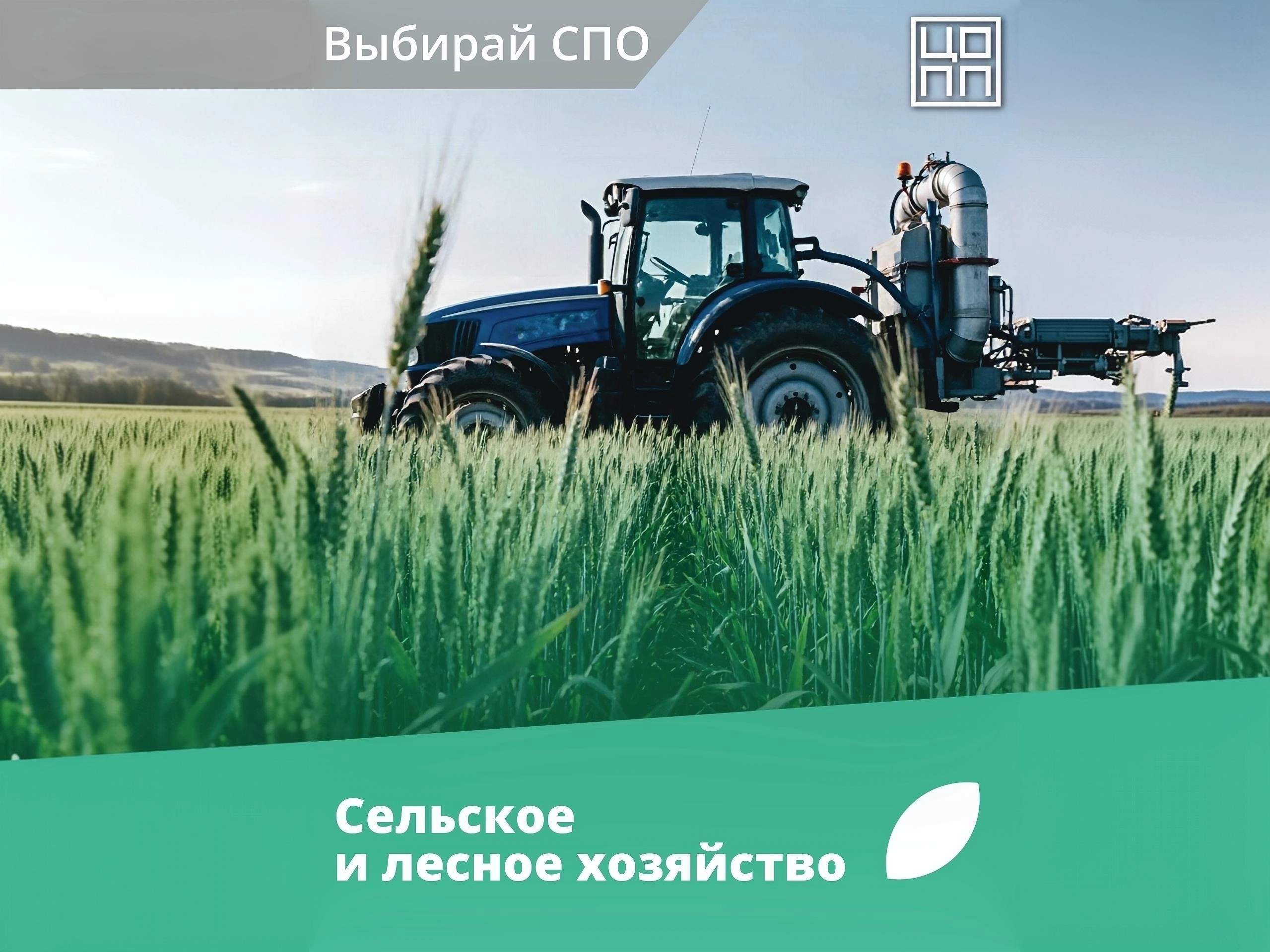 Сельское и лесное хозяйство